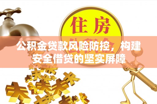 东乡族公积金贷款风险防控，构建安全借贷的坚实屏障