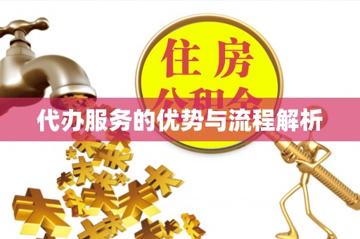 东乡族代办服务的优势与流程解析