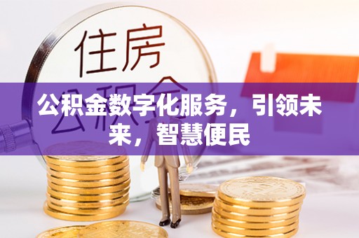 东乡族公积金数字化服务，引领未来，智慧便民