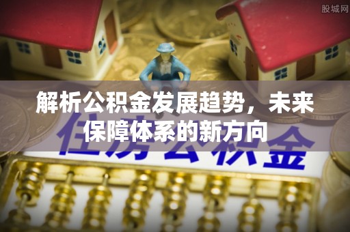 东乡族解析公积金发展趋势，未来保障体系的新方向
