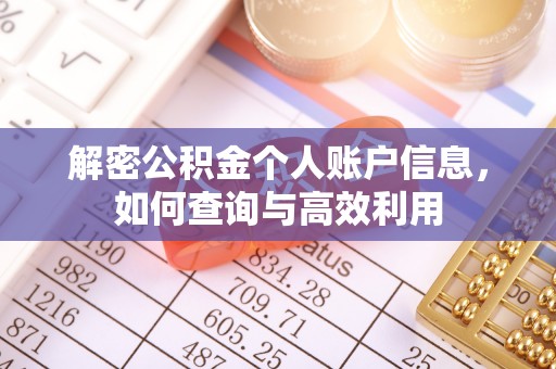 东乡族解密公积金个人账户信息，如何查询与高效利用
