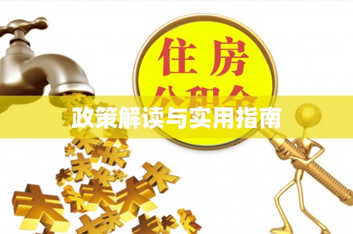东乡族政策解读与实用指南