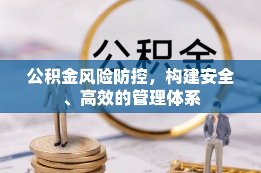 东乡族公积金风险防控，构建安全、高效的管理体系
