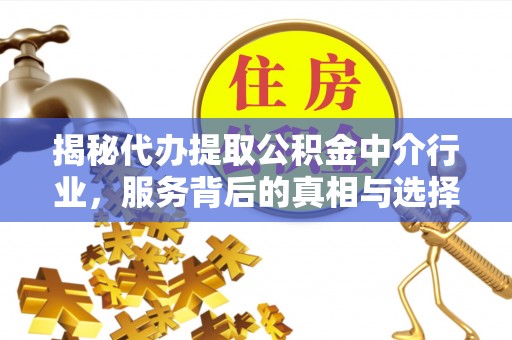 东乡族揭秘代办提取公积金中介行业，服务背后的真相与选择指南
