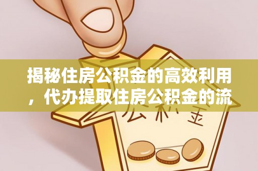 东乡族揭秘住房公积金的高效利用，代办提取住房公积金的流程与技巧