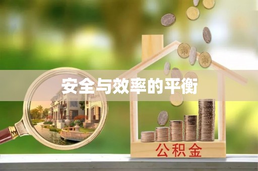 东乡族安全与效率的平衡