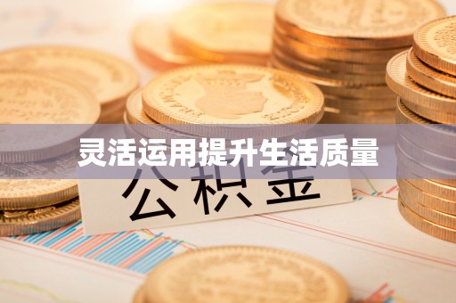 东乡族灵活运用提升生活质量