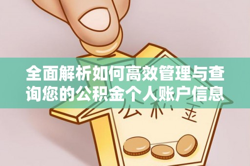 东乡族全面解析如何高效管理与查询您的公积金个人账户信息