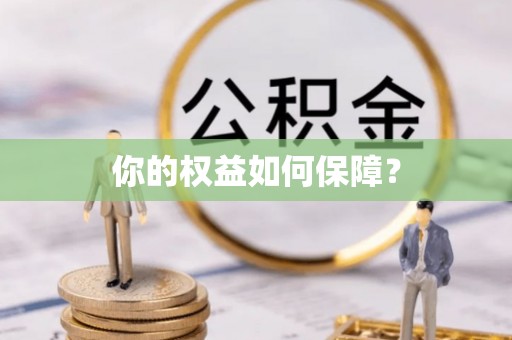 东乡族你的权益如何保障？