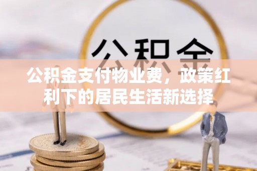 东乡族公积金支付物业费，政策红利下的居民生活新选择