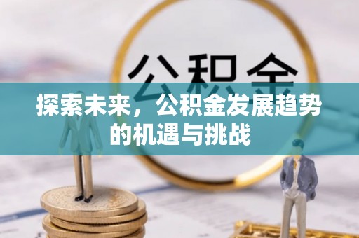 东乡族探索未来，公积金发展趋势的机遇与挑战