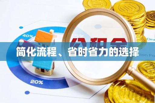 东乡族简化流程、省时省力的选择