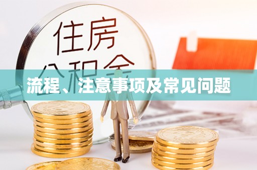 东乡族流程、注意事项及常见问题