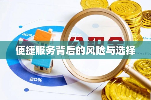 东乡族便捷服务背后的风险与选择
